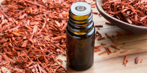 Beitragsbild des Blogbeitrags Alle Geheimnisse des Sandelholzöls aufgedeckt 