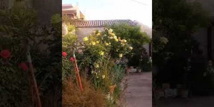 Beitragsbild des Blogbeitrags Chorafakia in Crete Greece