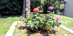 Beitragsbild des Blogbeitrags the gardens in Athens Greece