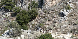 Beitragsbild des Blogbeitrags Koustogerako Crete Greece  