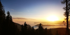 Beitragsbild des Blogbeitrags Was bedeutet