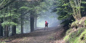 Beitragsbild des Blogbeitrags MTB Tour von Florac auf das Hochplateau (Südfrankreich)