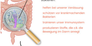 Beitragsbild des Blogbeitrags Mikrobiom – Beeinflussen unsere Darmbakterien unsere Verdauung?