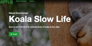 Beitragsbild des Blogbeitrags Napflix - die Siesta Plattform 