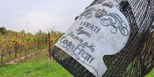 Beitragsbild des Blogbeitrags Weingüter am Gardasee: Die 12 besten Winzer & Kellereien 