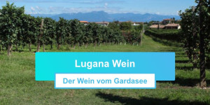 Beitragsbild des Blogbeitrags Lugana Wein: der italienische Weißwein vom Gardasee