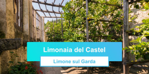 Beitragsbild des Blogbeitrags Limonaia del Castel – Terrassen mit Zitronen 