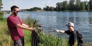 Beitragsbild des Blogbeitrags Müllsammeln an der Donau