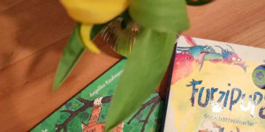 Beitragsbild des Blogbeitrags Schlechtwetter -und Indoortipps für und mit Kids