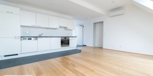 Beitragsbild des Blogbeitrags Exklusive DG-Wohnung mit Terrasse nahe Handelskai
