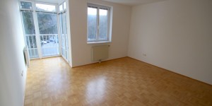 Beitragsbild des Blogbeitrags Helle 2-Zimmer-Wohnung nahe Lainzer Tiergarten