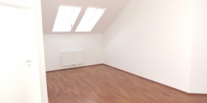 Beitragsbild des Blogbeitrags Exklusive DG-Wohnung in 1010 Wien
