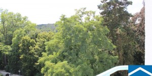 Beitragsbild des Blogbeitrags Provisionsfreie 3-Zimmer-Wohnung mit Balkon am Schlosspark 