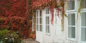 Beitragsbild des Blogbeitrags Garconniere mit Gartenblick in der Krongasse