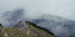 Beitragsbild des Blogbeitrags Von Kammern aufs Gößeck
