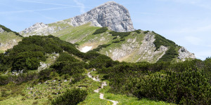 Beitragsbild des Blogbeitrags Auf den Scheiblingstein