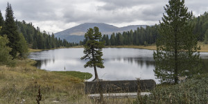 Beitragsbild des Blogbeitrags 3-Seen-Wanderweg auf der Turracher Höhe 