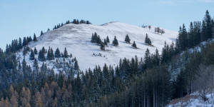 Beitragsbild des Blogbeitrags Plankogel-Rundweg mit Schneeschuhen 