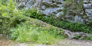 Beitragsbild des Blogbeitrags Große Raabklamm – zwischen Mortantsch und Arzberg