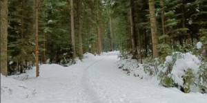 Beitragsbild des Blogbeitrags Reinischkogel – vom Gasthof Klugbauer aus