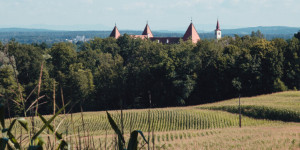 Beitragsbild des Blogbeitrags Von Spielfeld über Platschberg nach Ehrenhausen an der Weinstraße
