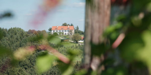 Beitragsbild des Blogbeitrags Hitzendorf Schlösserweg