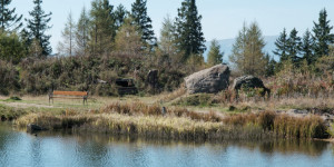 Beitragsbild des Blogbeitrags Hebalmsee-Runde mit Aussichtsplattform und Dom im Wald