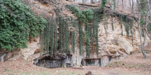 Beitragsbild des Blogbeitrags Wildon Buchkogel und Schlossberg Rundwanderung