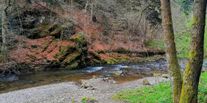 Beitragsbild des Blogbeitrags Rundweg Kleine Raabklamm – Hohenkogel 