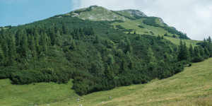 Beitragsbild des Blogbeitrags Kreuzkogel (2.011 m) – Rundweg von Admont