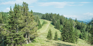Beitragsbild des Blogbeitrags Wieseralm bei Frohnleiten: Über die Drei Pfarren – Herrenkogel – Hochalm