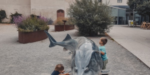 Beitragsbild des Blogbeitrags Schlossinsel Orth