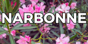 Beitragsbild des Blogbeitrags Interrail Narbonne Day 15-16