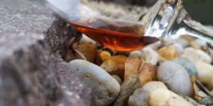 Beitragsbild des Blogbeitrags Laphroaig 10y Sherry Oak