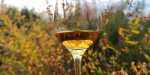Beitragsbild des Blogbeitrags Macallan 12y Triple Cask