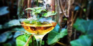 Beitragsbild des Blogbeitrags Lagavulin 16y