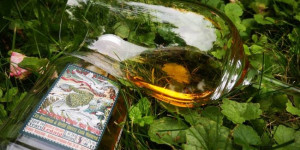 Beitragsbild des Blogbeitrags Ledaig 2005 16y ADoS