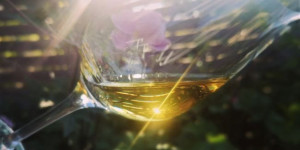 Beitragsbild des Blogbeitrags Caol Ila 12y