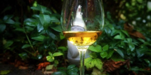 Beitragsbild des Blogbeitrags Nikka Coffey Malt Whisky