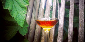 Beitragsbild des Blogbeitrags Glendronach Cask Strength Batch 1