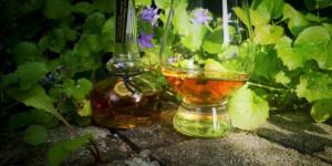 Beitragsbild des Blogbeitrags Willett Pot Still Reserve 