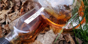Beitragsbild des Blogbeitrags Hazelburn 12y 2010