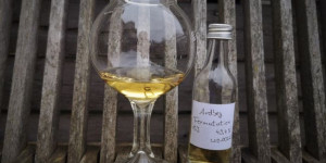 Beitragsbild des Blogbeitrags Ardbeg 13y Fermutation 