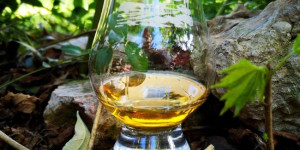 Beitragsbild des Blogbeitrags Laphroaig Quarter Cask