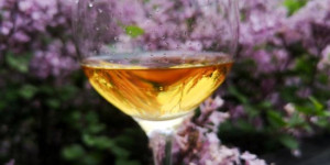 Beitragsbild des Blogbeitrags Hakushu Distillers Reserve