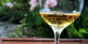 Beitragsbild des Blogbeitrags Kilchoman 100% Islay 12th Edition