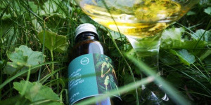 Beitragsbild des Blogbeitrags Secret Orkney 2009 14y - Spirits of the Forest VIII (whic)