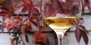 Beitragsbild des Blogbeitrags Ardbeg Smoketrails