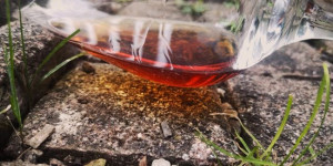 Beitragsbild des Blogbeitrags Glendronach 1996 17y PX-Cask #1479
