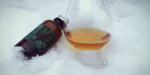 Beitragsbild des Blogbeitrags Ben Nevis 2014/2023 8y - Spirits of the Forest (whic)